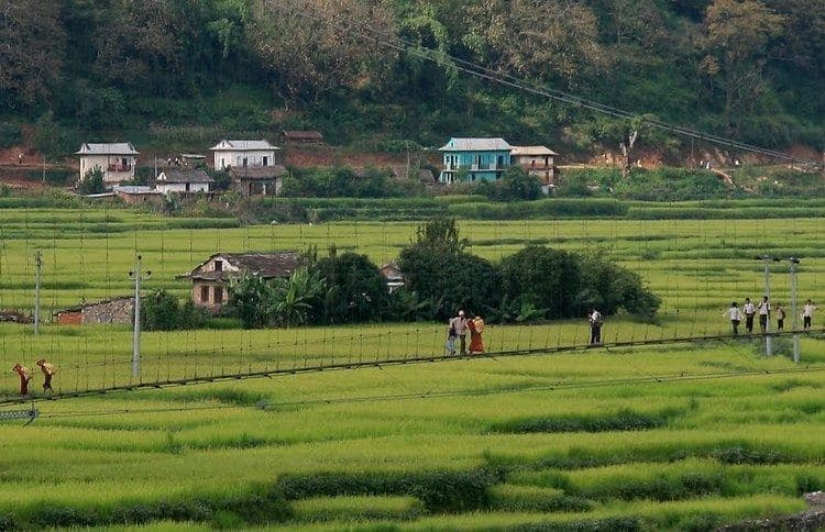 Stories from the Field